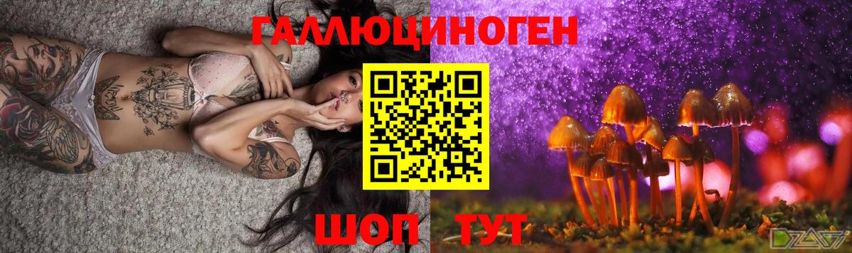 Галлюциногенные грибы Psilocybe Петрозаводск